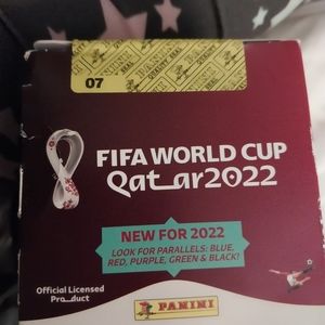 2022 fifa